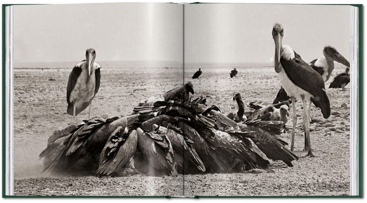 Produktbild: Peter Beard
