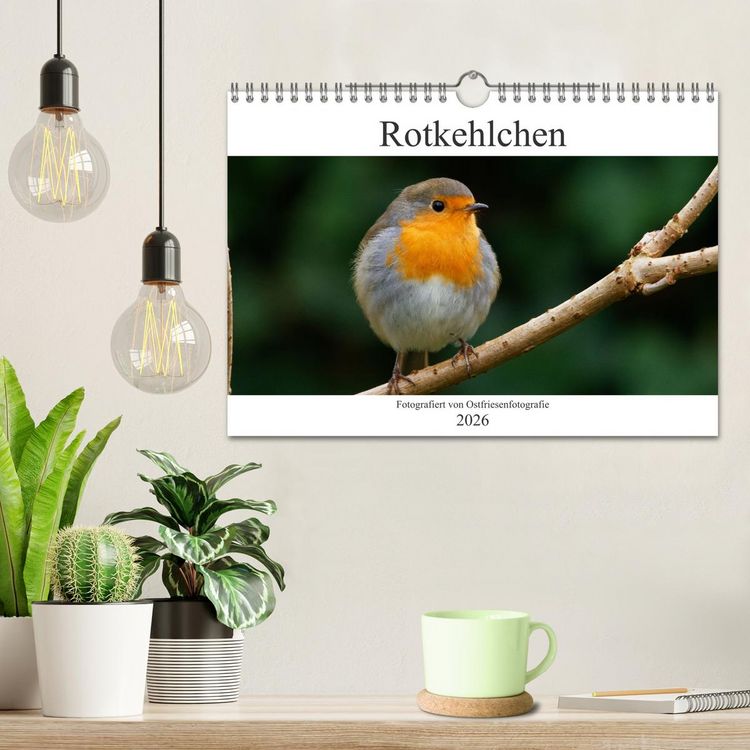 Produktbild: Rotkehlchen - Fotografiert von Ostfriesenfotografie (Wandkalender 2026 DIN A4 quer), CALVENDO Monatskalender