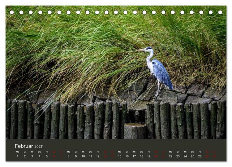 Produktbild: Reiher in der Elbmarsch (Tischkalender 2027 DIN A5 quer), CALVENDO Monatskalender