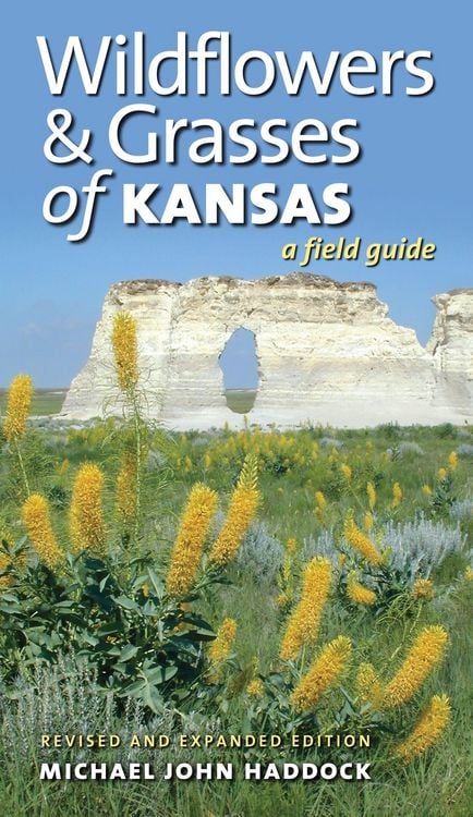 Produktbild: Wildflowers and Grasses of Kansas