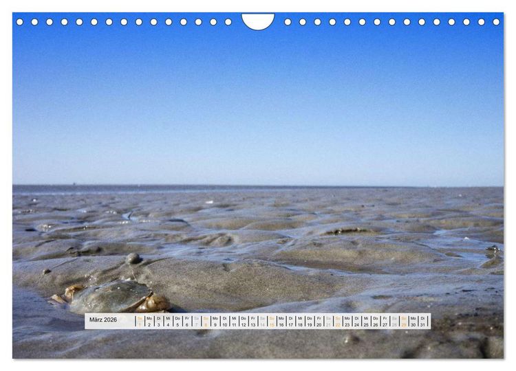 Produktbild: St. Peter-Ording (Wandkalender 2026 DIN A4 quer), CALVENDO Monatskalender