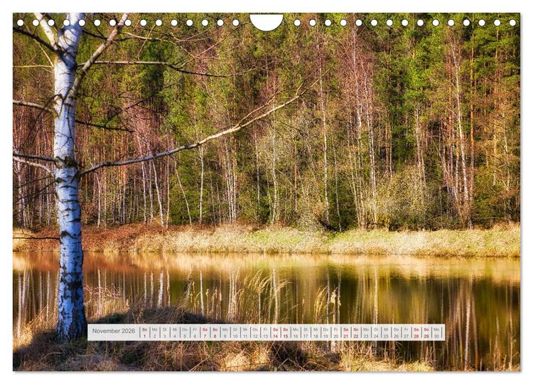 Produktbild: Die Sch&ouml;nheit des Th&uuml;ringer Waldes (Wandkalender 2026 DIN A4 quer), CALVENDO Monatskalender