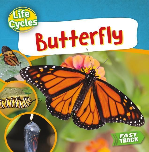 Produktbild: Butterfly