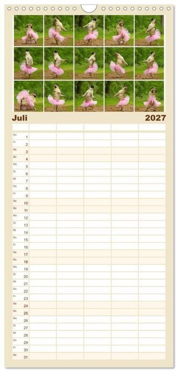 Produktbild: Familienplaner 2027 - Lustige M&ouml;pse aus der Hundeknipserei mit 5 Spalten (Wandkalender, 21 x 45 cm) CALVENDO