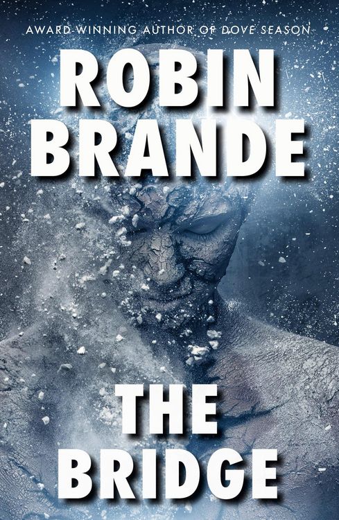 Produktbild: The Bridge