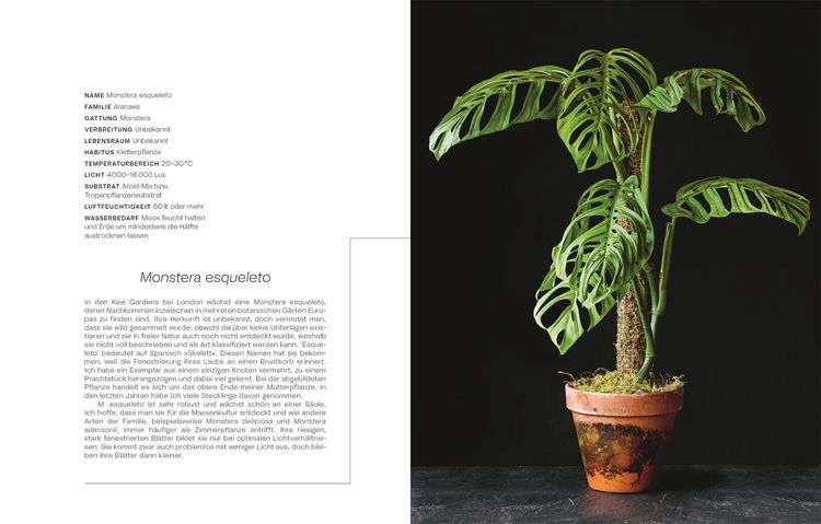 Produktbild: Urban Jungle Style