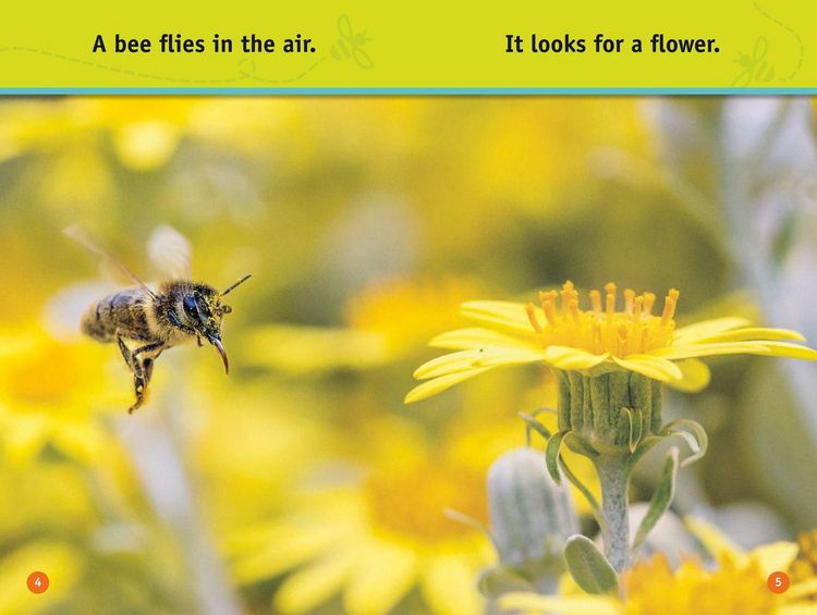 Produktbild: Buzz, Bee!