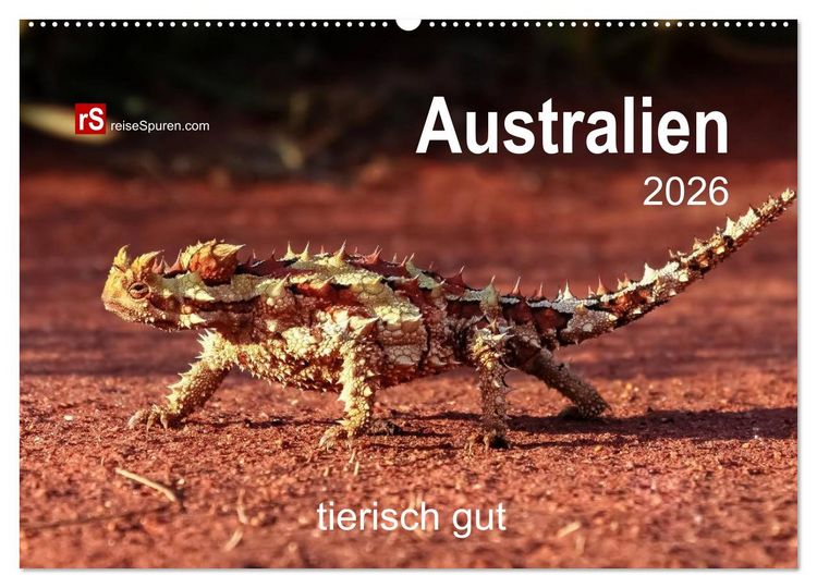 Produktbild: Australien tierisch gut 2026 (Wandkalender 2026 DIN A2 quer), CALVENDO Monatskalender