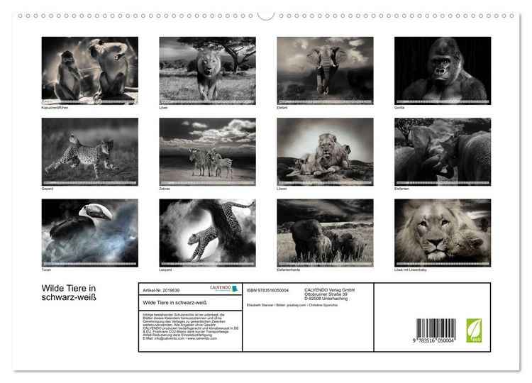 Produktbild: Wilde Tiere in schwarz-wei&szlig; (hochwertiger Premium Wandkalender 2026 DIN A2 quer), Kunstdruck in Hochglanz