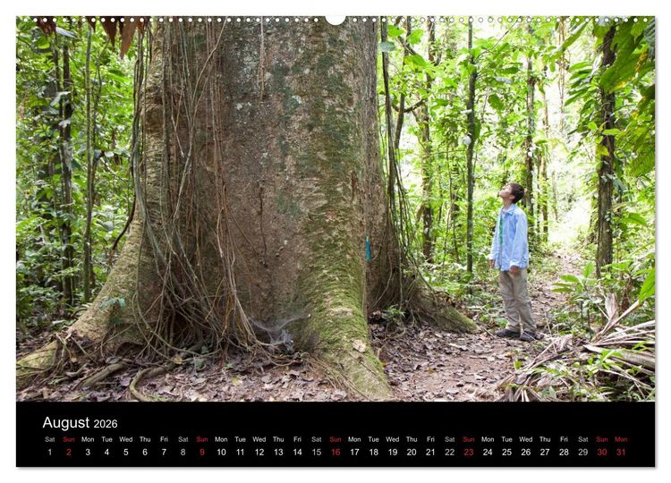 Produktbild: Peru - from the Andes to the Amazon / UK-Version (High Quality Premium Wall Calendar 2026 DIN A2 landscape),CALVENDO 12 Month Wall Calendar