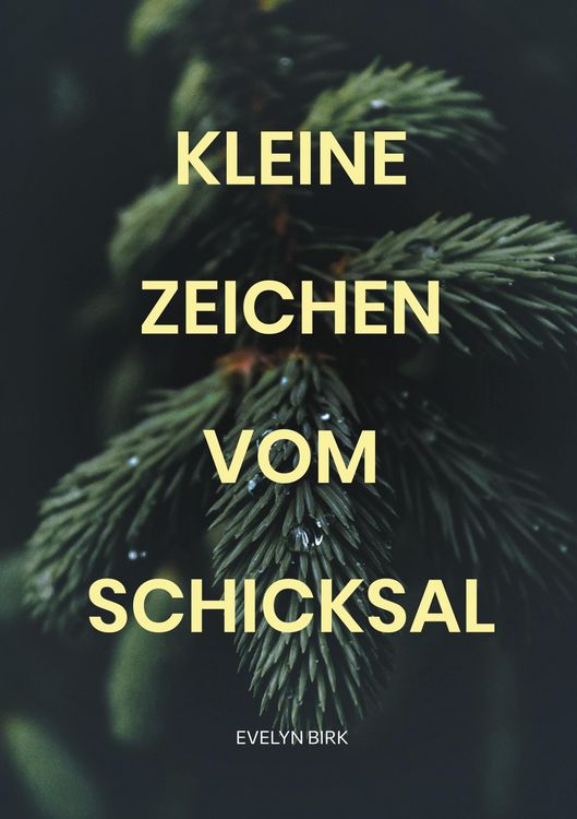 Produktbild: Kleine Zeichen vom Schicksal