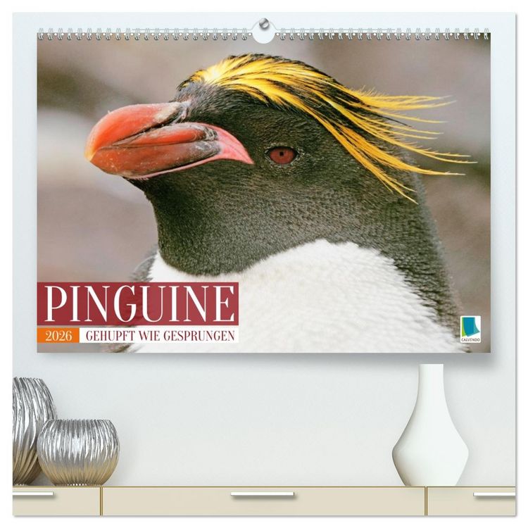 Produktbild: Pinguine: Gehupft wie gesprungen (hochwertiger Premium Wandkalender 2026 DIN A2 quer), Kunstdruck in Hochglanz