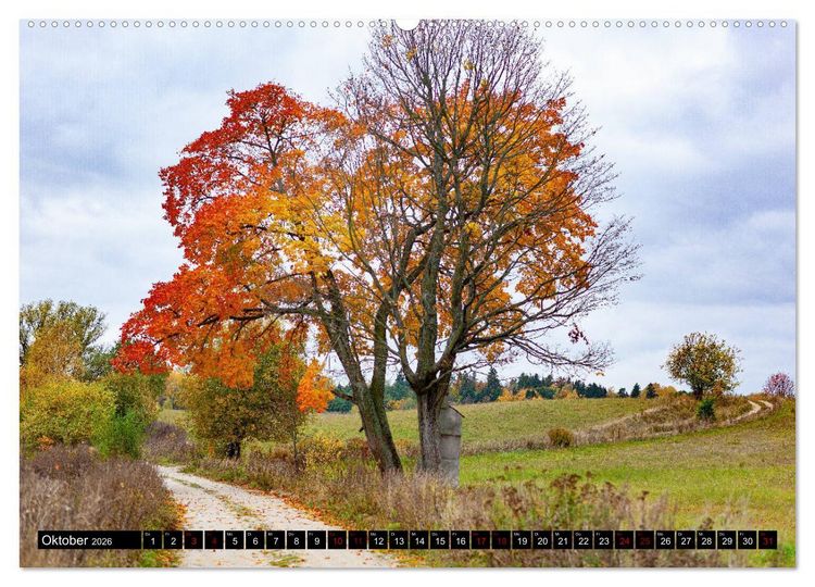 Produktbild: ERMLAND MASUREN (Wandkalender 2026 DIN A2 quer), CALVENDO Monatskalender