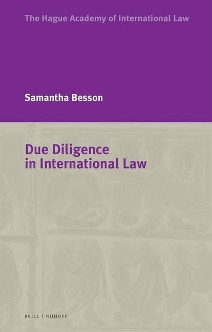 Produktbild: Due Diligence in International Law