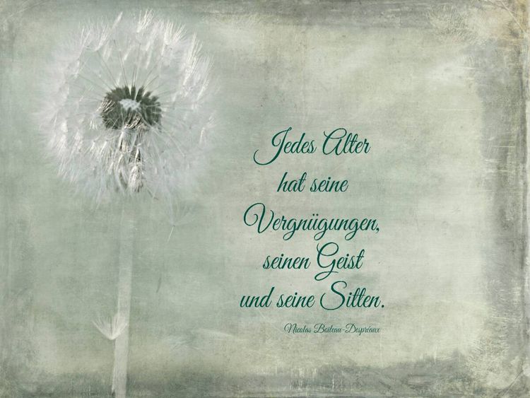 Produktbild: CALVENDO Puzzle Jedes Alter hat seine Reize | 1000 Teile Lege-Gr&ouml;&szlig;e 64x48cm Foto-Puzzle f&uuml;r gl&uuml;ckliche Stunden