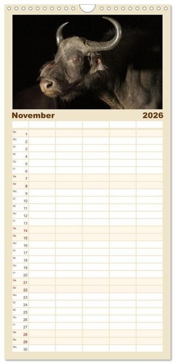 Produktbild: Familienplaner 2026 - S&uuml;dafrika wunderbare Tierwelt mit 5 Spalten (Wandkalender, 21 x 45 cm) CALVENDO