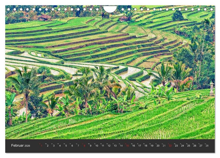 Produktbild: Bali - Insel der G&ouml;tter (Wandkalender 2026 DIN A4 quer), CALVENDO Monatskalender