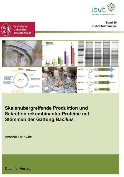 Produktbild: Skalen&uuml;bergreifende Produktion und Sekretion rekombinanter Proteine mit St&auml;mmen der Gattung Bacillus