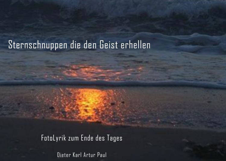 Produktbild: Sternschnuppen die den Geist erhellen