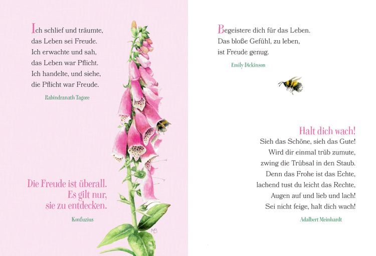 Produktbild: Ich w&uuml;nsch dir Gesundheit, Gl&uuml;ck und Frohsinn