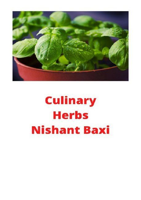 Produktbild: Culinary Herbs