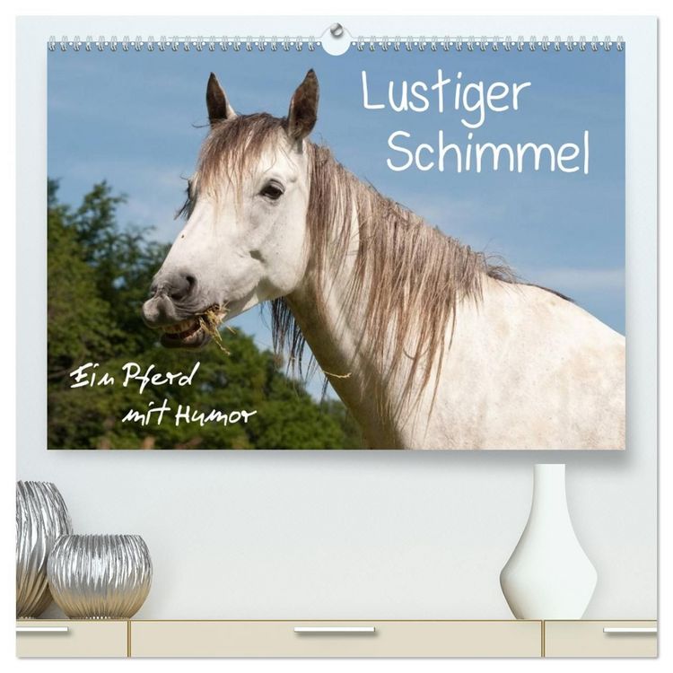 Produktbild: Lustiger Schimmel - ein Pferd mit Humor (hochwertiger Premium Wandkalender 2027 DIN A2 quer), Kunstdruck in Hochglanz