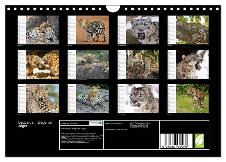 Produktbild: Leoparden. Elegante J&auml;ger (Wandkalender 2026 DIN A4 quer), CALVENDO Monatskalender