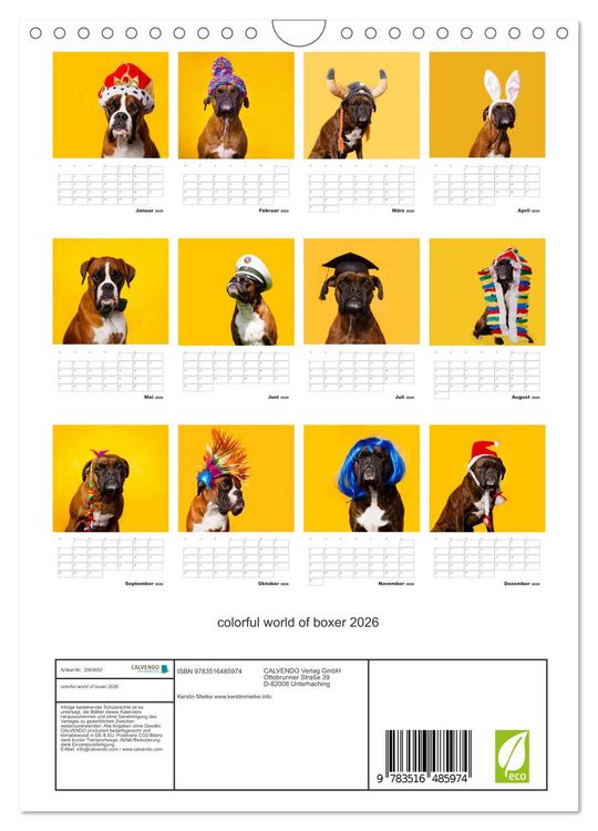 Produktbild: colorful world of boxer 2026 (Wandkalender 2026 DIN A4 hoch), CALVENDO Monatskalender