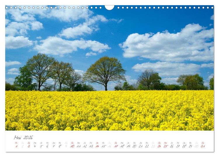 Produktbild: "Landarzt" - Pl&auml;tze an Schlei und Ostsee (Wandkalender 2026 DIN A3 quer), CALVENDO Monatskalender
