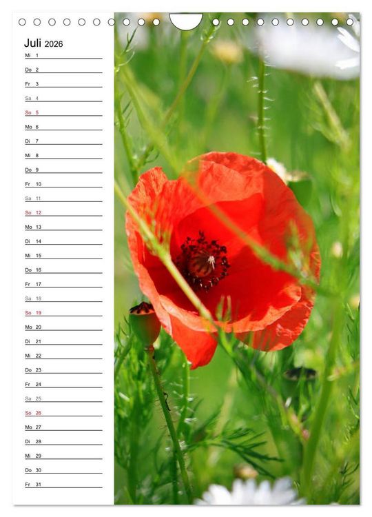 Produktbild: Mohn, zarte Bl&uuml;ten, starke Farben, der Geburtstagskalender (Wandkalender 2026 DIN A4 hoch), CALVENDO Monatskalender