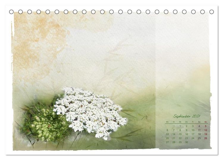 Produktbild: Natur und Farbe Fotografie trifft Aquarell (Tischkalender 2027 DIN A5 quer), CALVENDO Monatskalender
