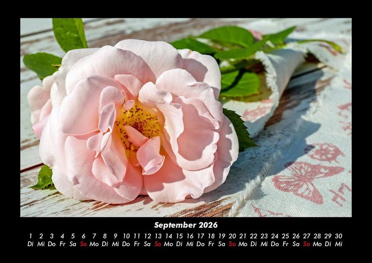 Produktbild: Blumentraum 2026 Fotokalender DIN A3