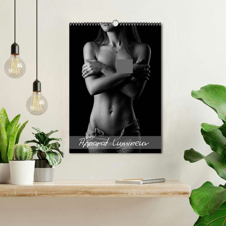 Produktbild: Apparat lumineux (Calendrier mural 2026 DIN A3 horizontal), CALVENDO calendrier mensuel