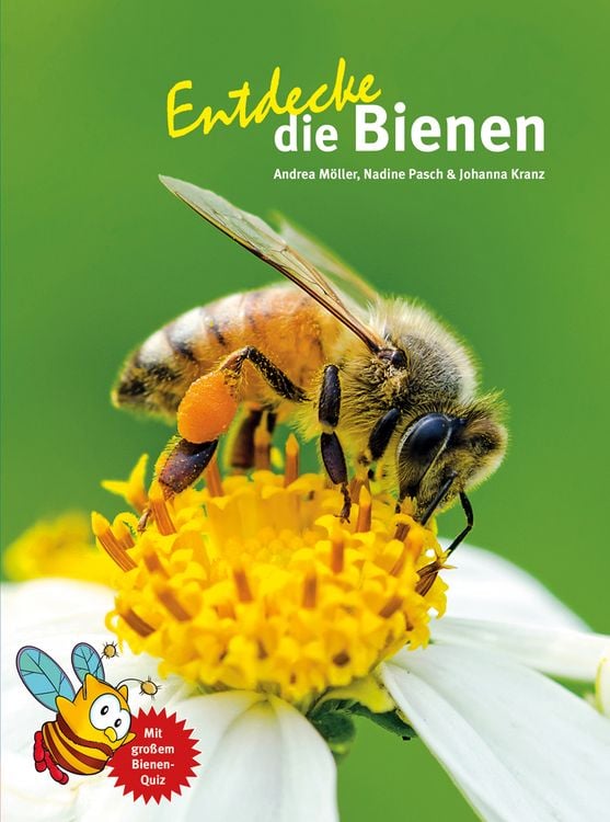 Produktbild: Entdecke die Bienen
