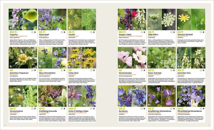 Produktbild: Mein Artenretter Garten