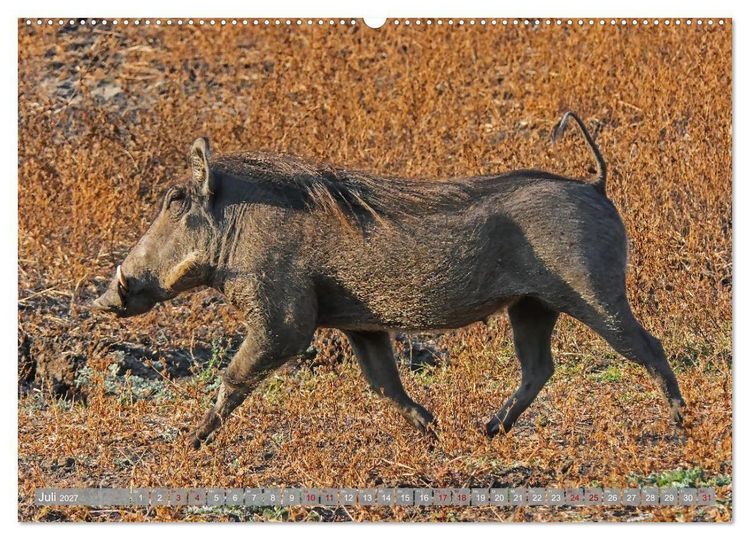 Produktbild: Unbekanntes Paradies Sambia (hochwertiger Premium Wandkalender 2027 DIN A2 quer), Kunstdruck in Hochglanz