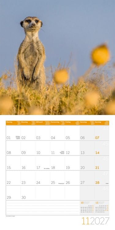 Produktbild: Erdm&auml;nnchen Kalender 2027 - 30x30 - Art12