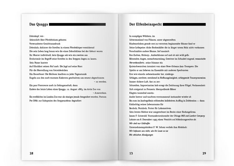 Produktbild: Dodos auf der Flucht