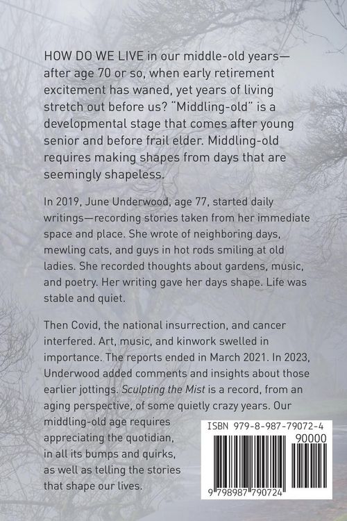 Produktbild: Sculpting the Mist