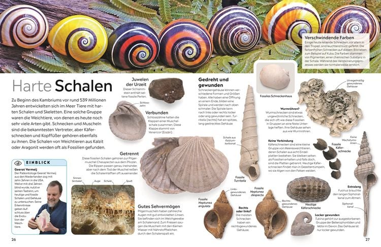 Produktbild: Memo Wissen. Fossilien