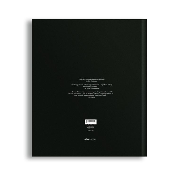 Produktbild: The Sea of Dreams