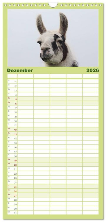Produktbild: Familienplaner 2026 - Lama-Kalender mit 5 Spalten (Wandkalender, 21 x 45 cm) CALVENDO