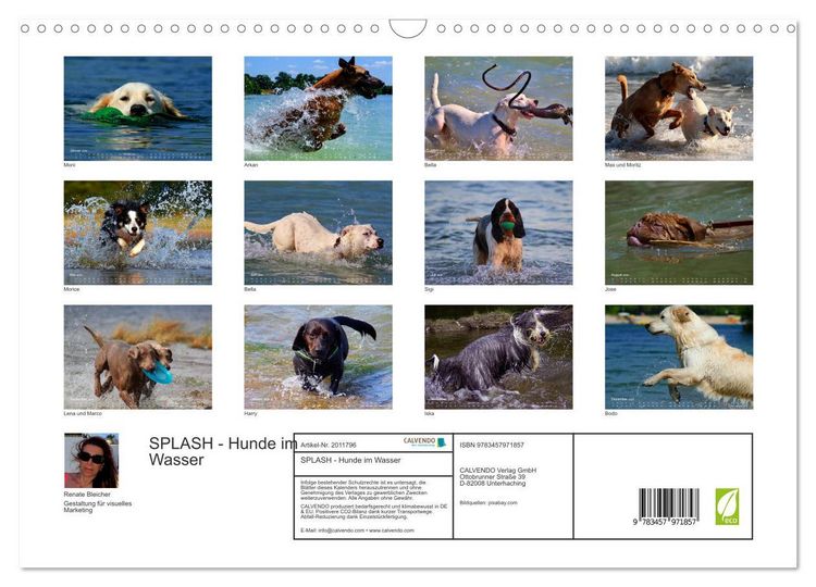 Produktbild: SPLASH - Hunde im Wasser (Wandkalender 2026 DIN A3 quer), CALVENDO Monatskalender