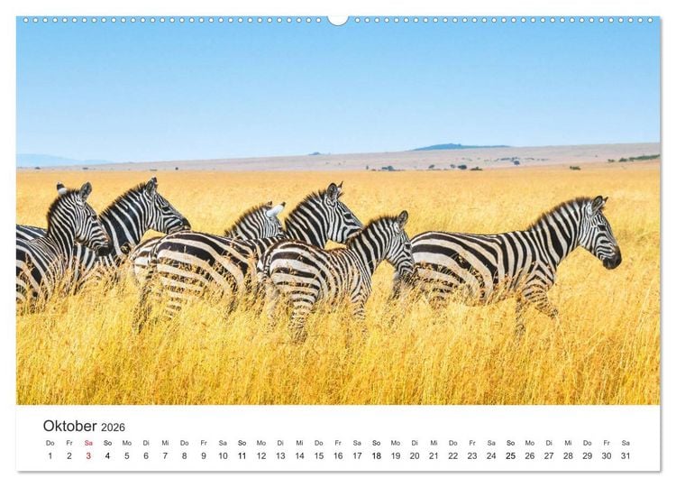 Produktbild: Safari durch Afrika (hochwertiger Premium Wandkalender 2026 DIN A2 quer), Kunstdruck in Hochglanz