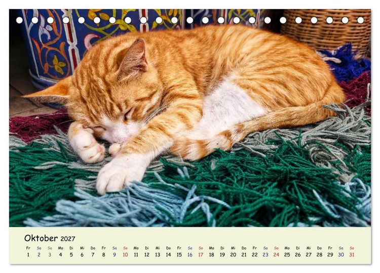 Produktbild: MarokkoCats (Tischkalender 2027 DIN A5 quer), CALVENDO Monatskalender