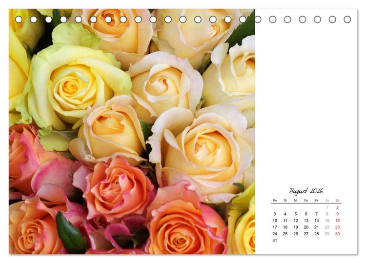 Produktbild: Die vielen Gesichter der Rosen (Tischkalender 2026 DIN A5 quer), CALVENDO Monatskalender