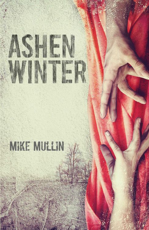 Produktbild: Ashen Winter