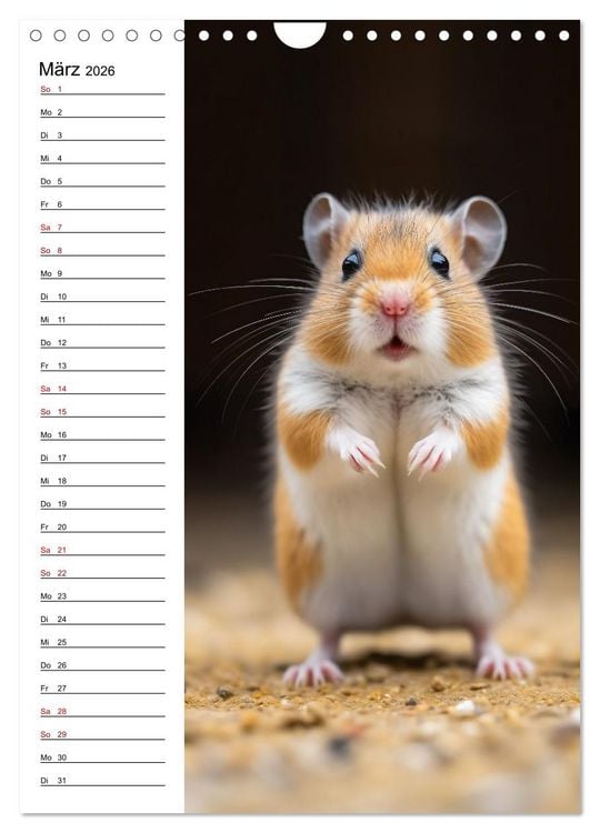 Produktbild: Ganz von vorn (Wandkalender 2026 DIN A4 hoch), CALVENDO Monatskalender