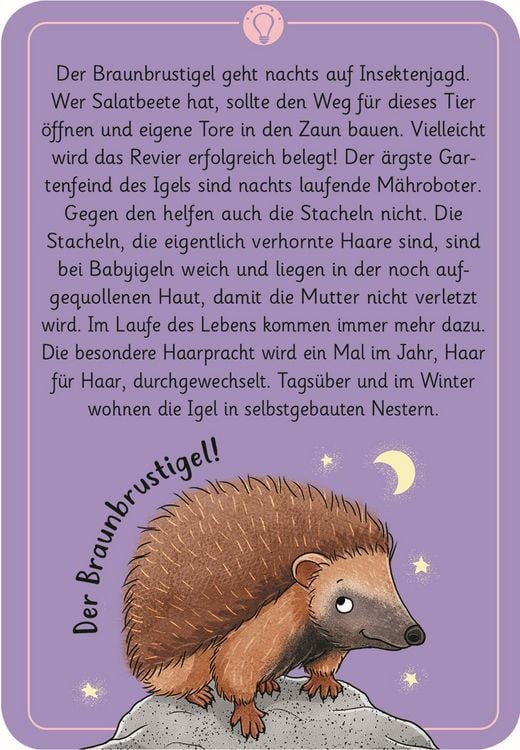 Produktbild: Expedition Natur 50 wundersame Tierr&auml;tsel