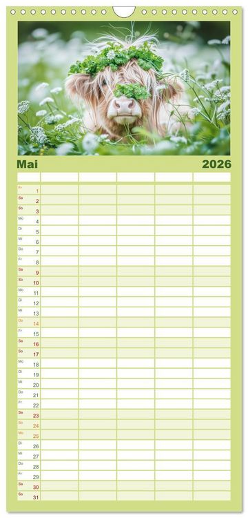 Produktbild: Familienplaner 2026 - Schottische Hochland Rinder mit 5 Spalten (Wandkalender, 21 x 45 cm) CALVENDO